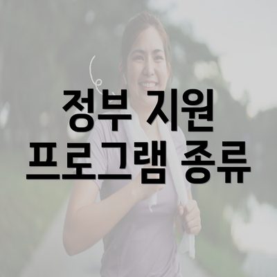 정부 지원 프로그램 종류