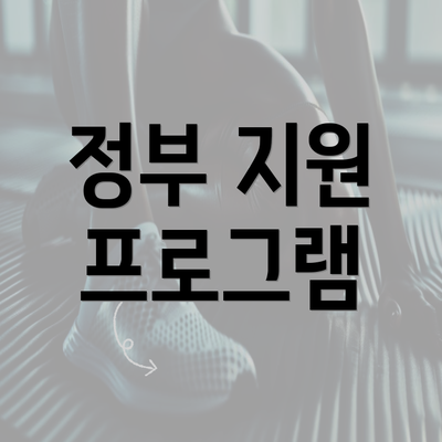 정부 지원 프로그램