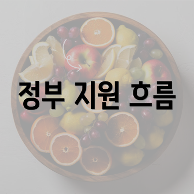 정부 지원 흐름