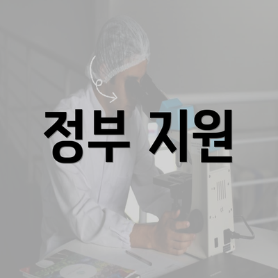 정부 지원