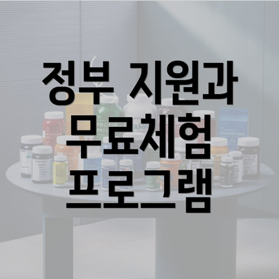 정부 지원과 무료체험 프로그램