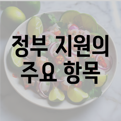 정부 지원의 주요 항목