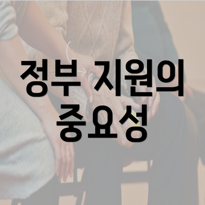 정부 지원의 중요성