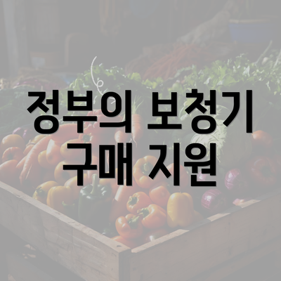 정부의 보청기 구매 지원