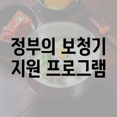 정부의 보청기 지원 프로그램