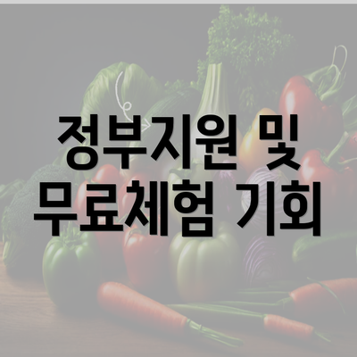 정부지원 및 무료체험 기회