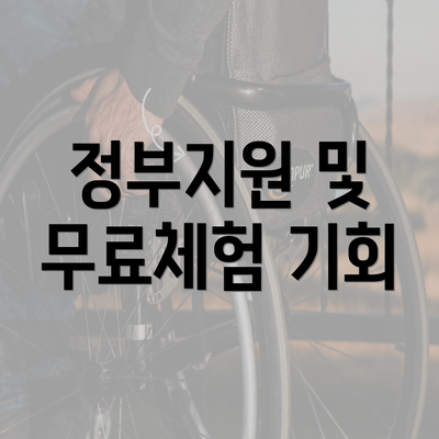 정부지원 및 무료체험 기회