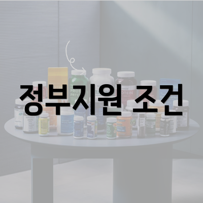 정부지원 조건