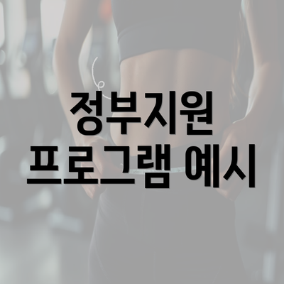 정부지원 프로그램 예시