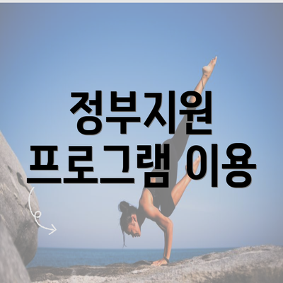 정부지원 프로그램 이용