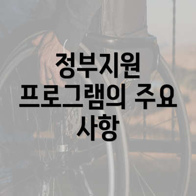 정부지원 프로그램의 주요 사항