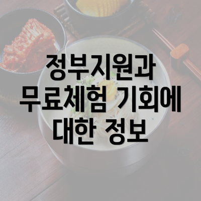 정부지원과 무료체험 기회에 대한 정보