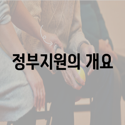 정부지원의 개요