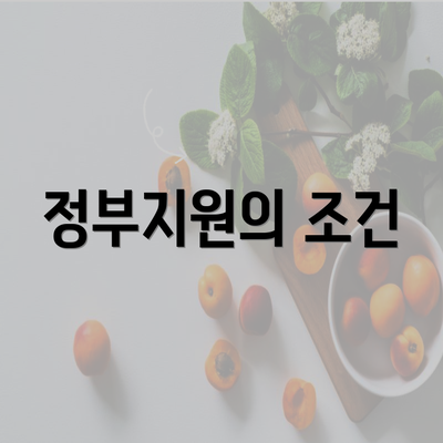 정부지원의 조건