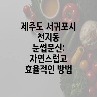 제주도 서귀포시 천지동 눈썹문신: 자연스럽고 효율적인 방법