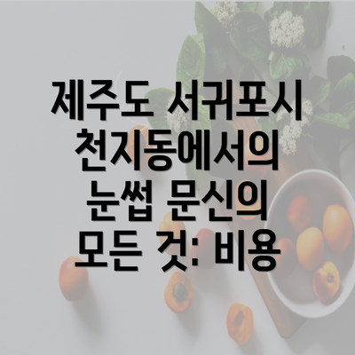 제주도 서귀포시 천지동에서의 눈썹 문신의 모든 것: 비용