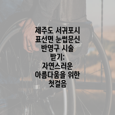 제주도 서귀포시 표선면 눈썹문신 반영구 시술 받기: 자연스러운 아름다움을 위한 첫걸음