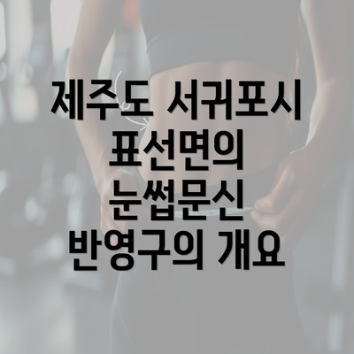 제주도 서귀포시 표선면의 눈썹문신 반영구의 개요