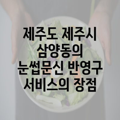 제주도 제주시 삼양동의 눈썹문신 반영구 서비스의 장점