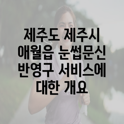 제주도 제주시 애월읍 눈썹문신 반영구 서비스에 대한 개요