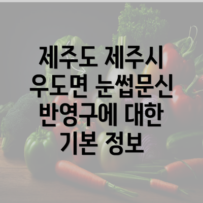 제주도 제주시 우도면 눈썹문신 반영구에 대한 기본 정보