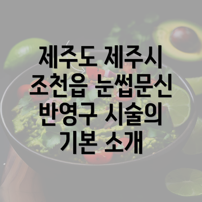 제주도 제주시 조천읍 눈썹문신 반영구 시술의 기본 소개