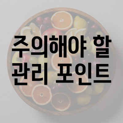 주의해야 할 관리 포인트