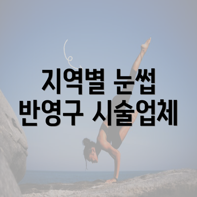 지역별 눈썹 반영구 시술업체