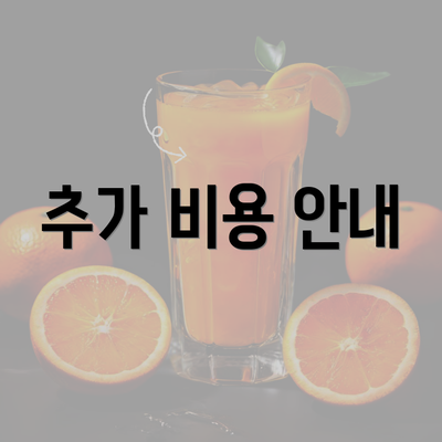 추가 비용 안내