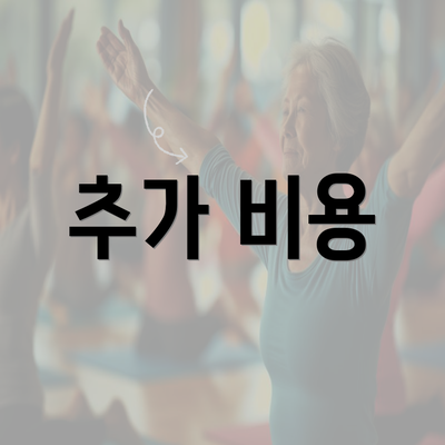 추가 비용