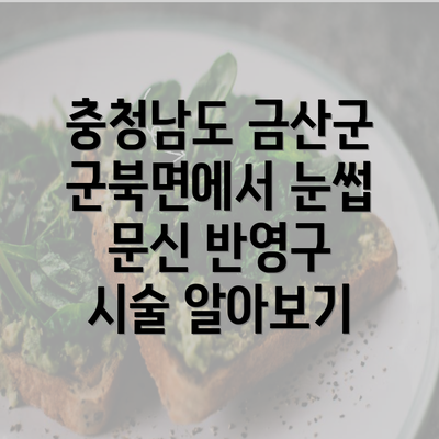 충청남도 금산군 군북면에서 눈썹 문신 반영구 시술 알아보기