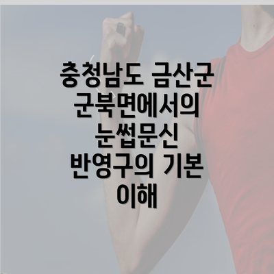 충청남도 금산군 군북면에서의 눈썹문신 반영구의 기본 이해