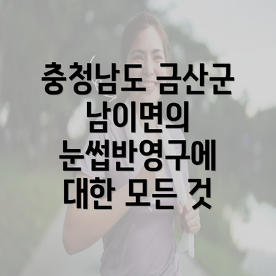 충청남도 금산군 남이면의 눈썹반영구에 대한 모든 것