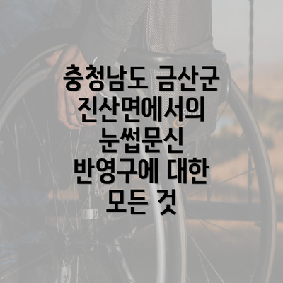 충청남도 금산군 진산면에서의 눈썹문신 반영구에 대한 모든 것