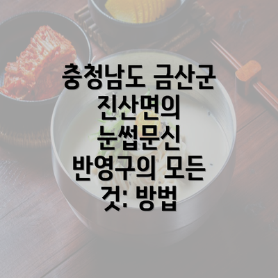 충청남도 금산군 진산면의 눈썹문신 반영구의 모든 것: 방법