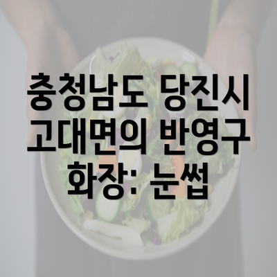 충청남도 당진시 고대면의 반영구 화장: 눈썹