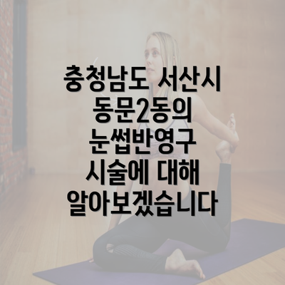 충청남도 서산시 동문2동의 눈썹반영구 시술에 대해 알아보겠습니다