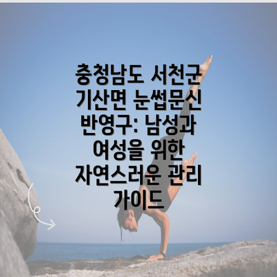 충청남도 서천군 기산면 눈썹문신 반영구: 남성과 여성을 위한 자연스러운 관리 가이드