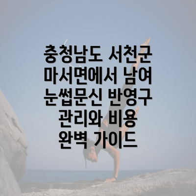 충청남도 서천군 마서면에서 남여 눈썹문신 반영구 관리와 비용 완벽 가이드