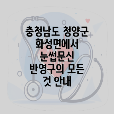 충청남도 청양군 화성면에서 눈썹문신 반영구의 모든 것 안내