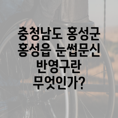 충청남도 홍성군 홍성읍 눈썹문신 반영구란 무엇인가?