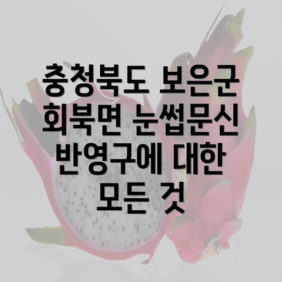 충청북도 보은군 회북면 눈썹문신 반영구에 대한 모든 것