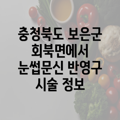 충청북도 보은군 회북면에서 눈썹문신 반영구 시술 정보