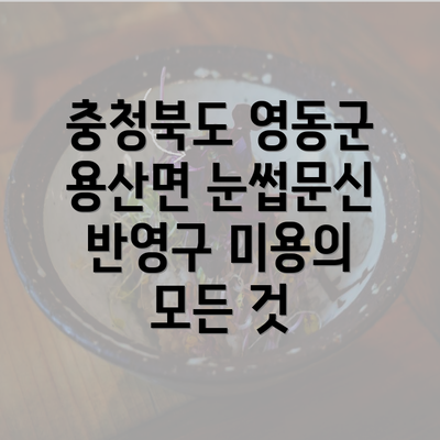 충청북도 영동군 용산면 눈썹문신 반영구 미용의 모든 것