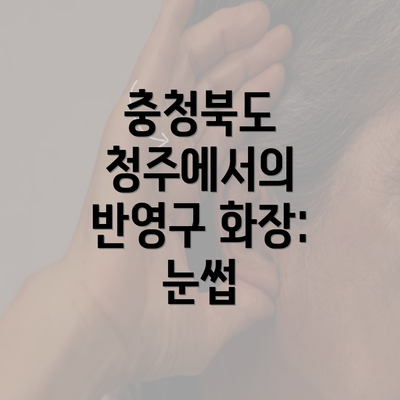 충청북도 청주에서의 반영구 화장: 눈썹