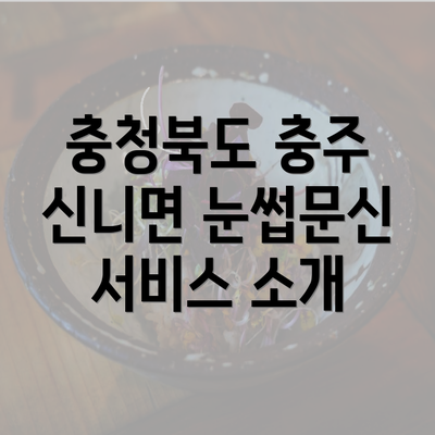 충청북도 충주 신니면 눈썹문신 서비스 소개