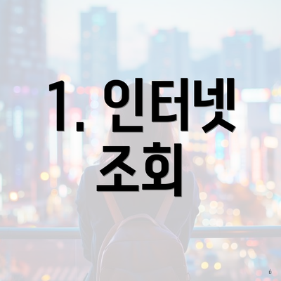 1. 인터넷 조회