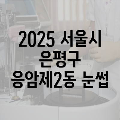 2025 서울시 은평구 응암제2동 눈썹