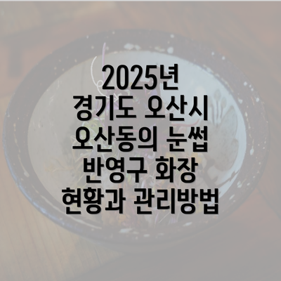 2025년 경기도 오산시 오산동의 눈썹 반영구 화장 현황과 관리방법