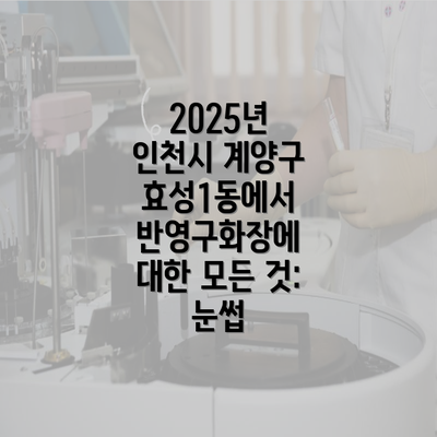 2025년 인천시 계양구 효성1동에서 반영구화장에 대한 모든 것: 눈썹